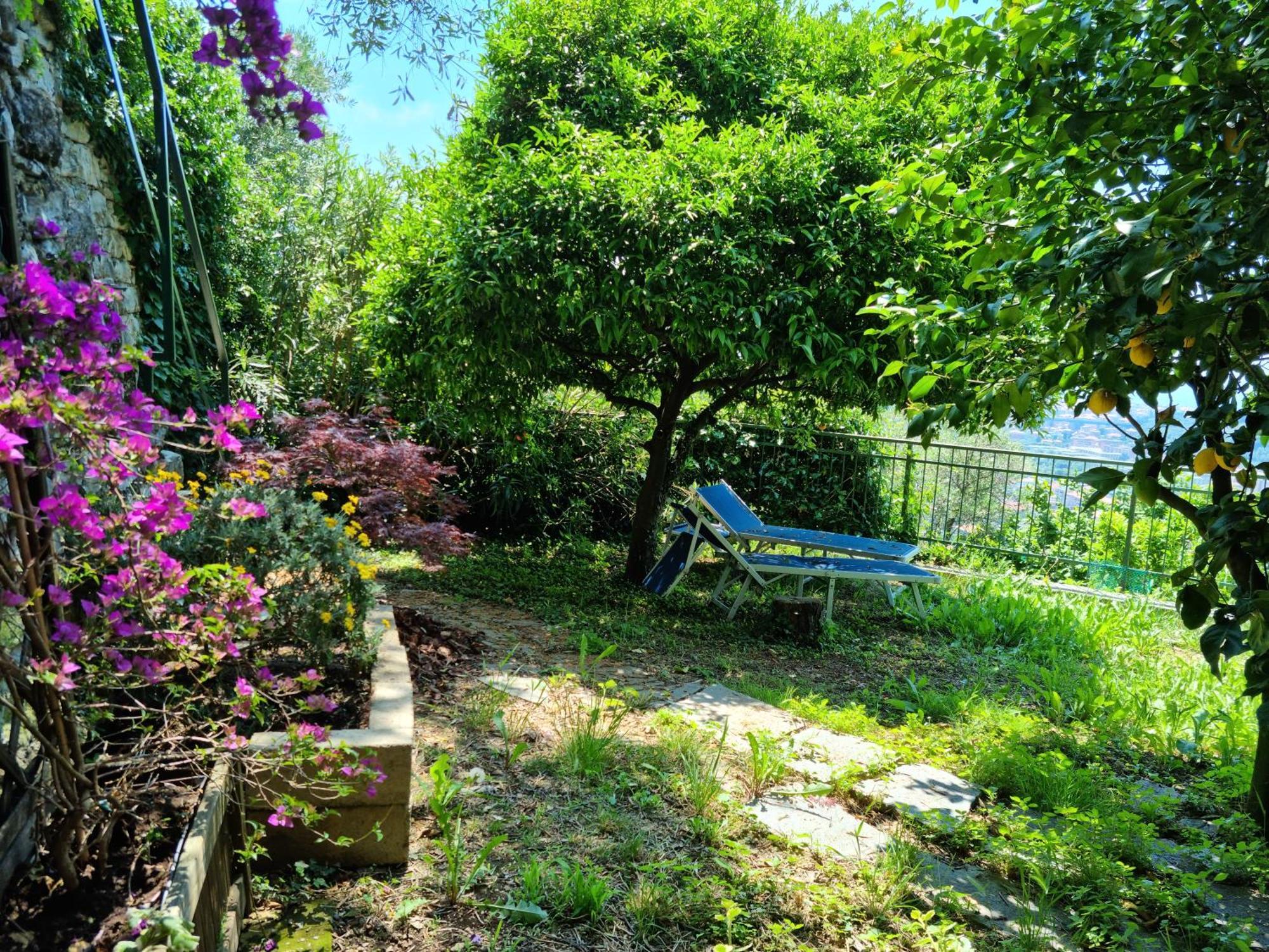 Cogorno B&B La Terrazza Sui Fieschi المظهر الخارجي الصورة