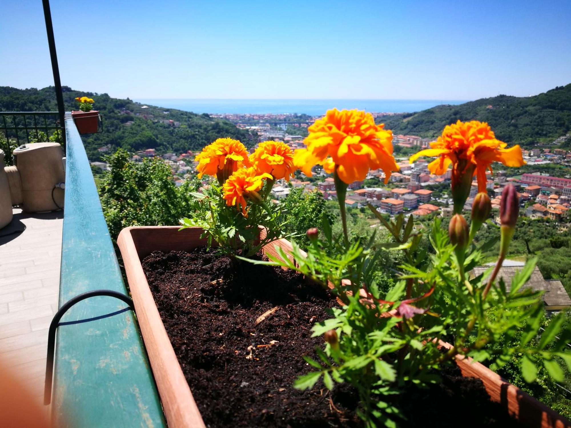 Cogorno B&B La Terrazza Sui Fieschi المظهر الخارجي الصورة
