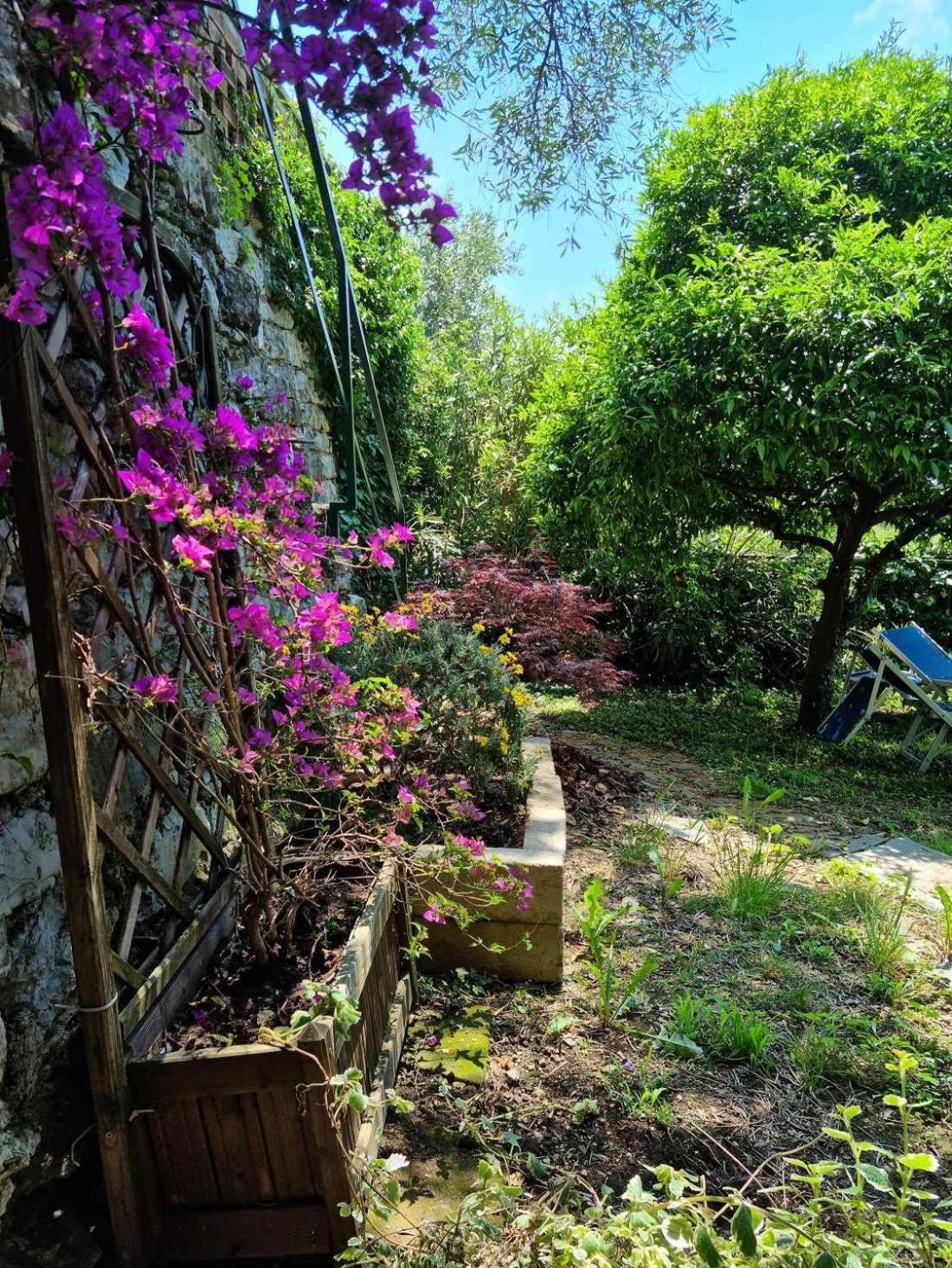 Cogorno B&B La Terrazza Sui Fieschi الغرفة الصورة